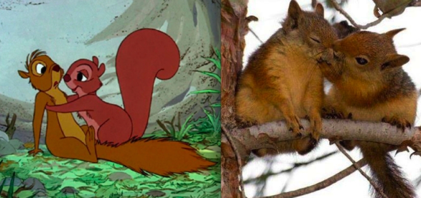 El pato Donald y otros 20 animales de Disney en la vida real