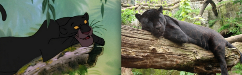El pato Donald y otros 20 animales de Disney en la vida real