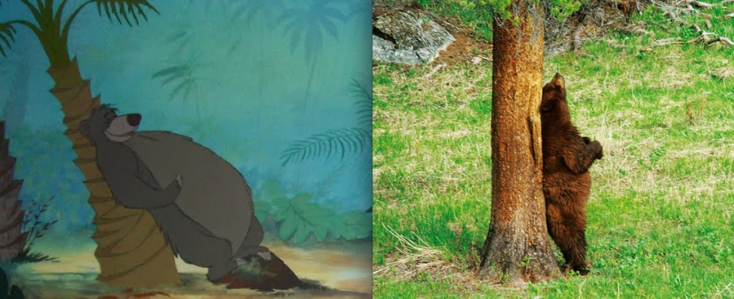 El pato Donald y otros 20 animales de Disney en la vida real