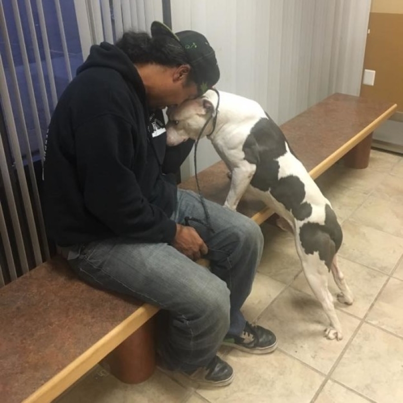 El perro abandonado no pudo creer durante un mes que los dueños se habían ido para siempre