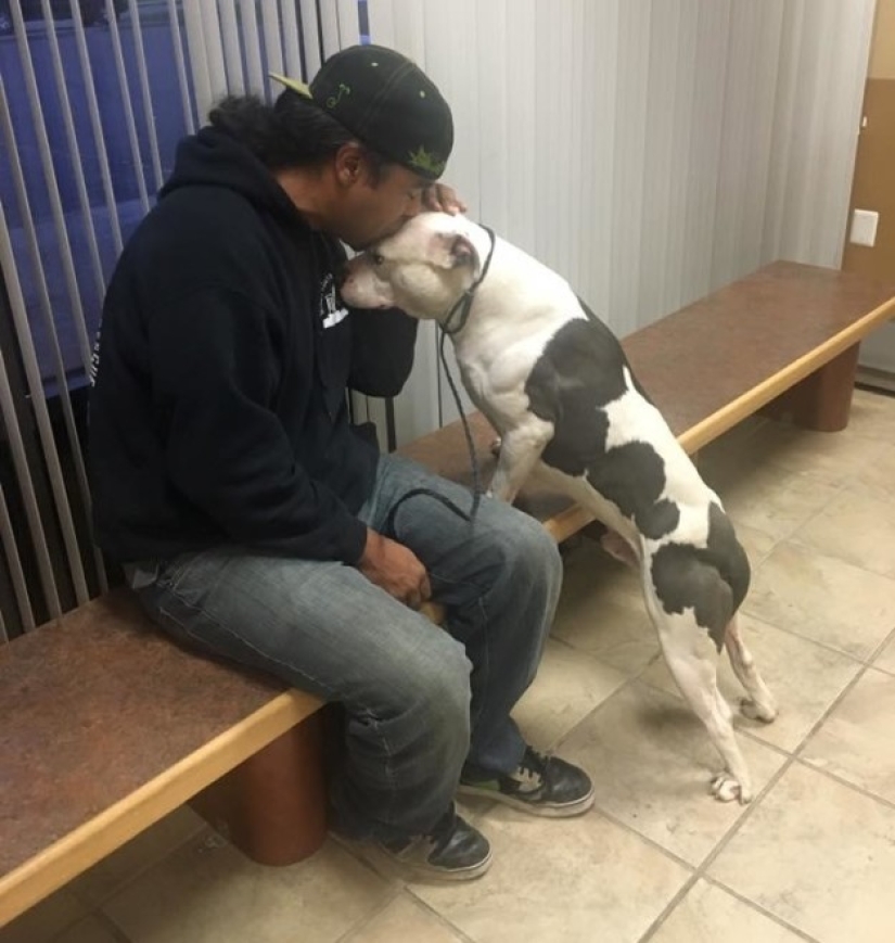 El perro abandonado no pudo creer durante un mes que los dueños se habían ido para siempre