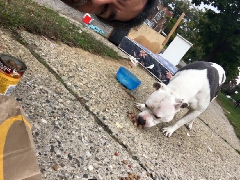 El perro abandonado no pudo creer durante un mes que los dueños se habían ido para siempre