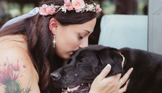 El perro moribundo vivió para ver la boda de su amada amante