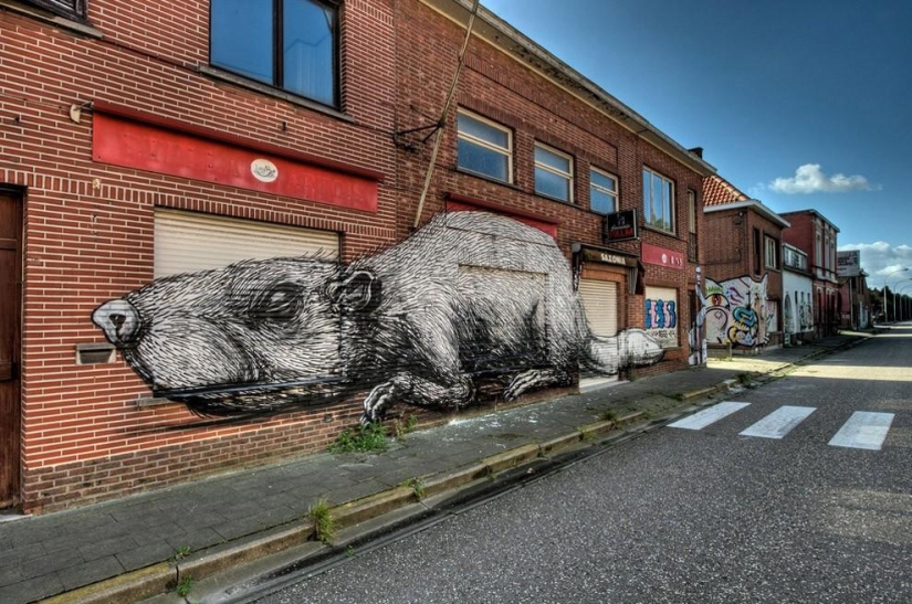El pueblo abandonado de Doel y su asombroso arte callejero