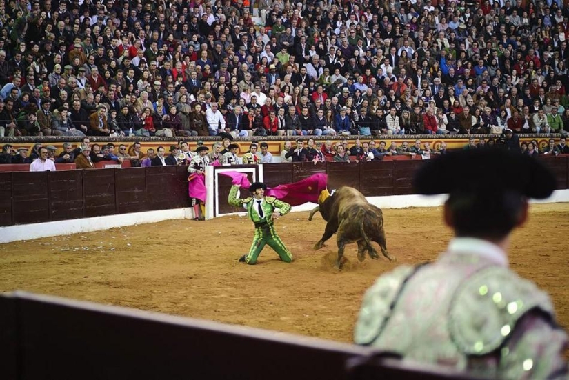 El regreso del matador