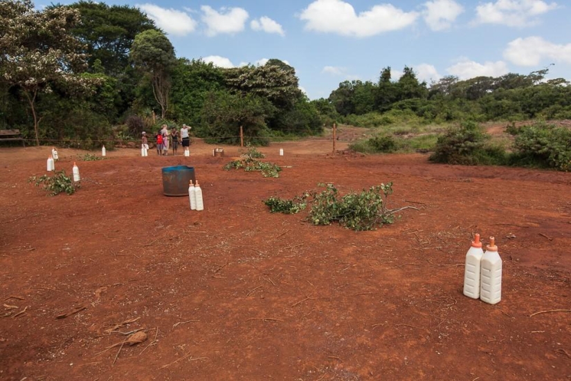 Elephant Orphanage in Kenya