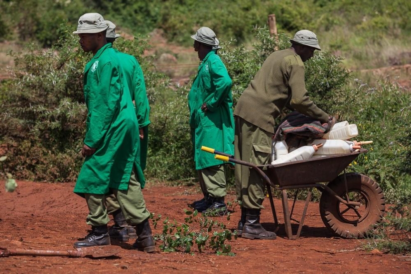 Elephant Orphanage in Kenya
