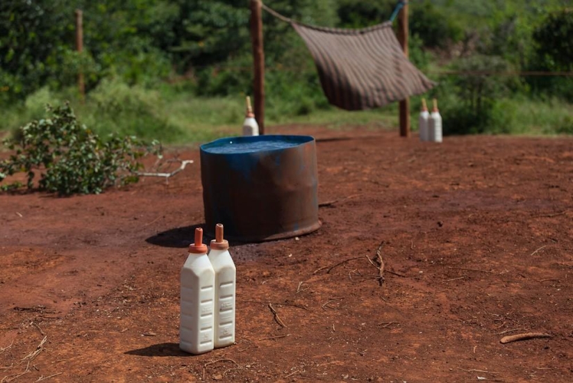 Elephant Orphanage in Kenya