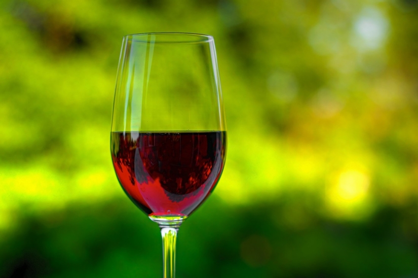 Elixir de los dioses: 36 datos interesantes sobre el vino