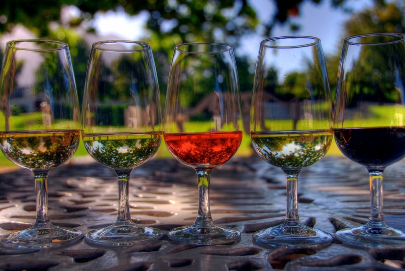 Elixir de los dioses: 36 datos interesantes sobre el vino
