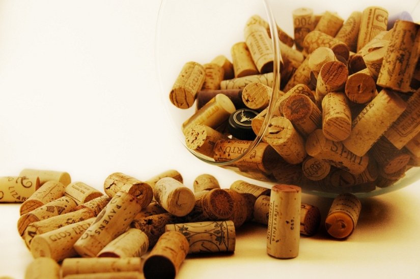 Elixir de los dioses: 36 datos interesantes sobre el vino