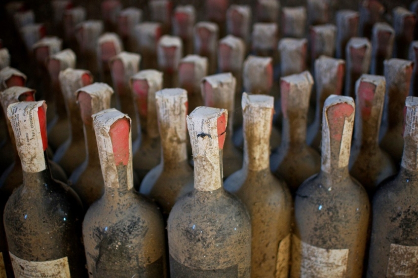 Elixir de los dioses: 36 datos interesantes sobre el vino