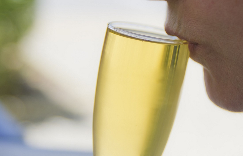 Elixir de los dioses: 36 datos interesantes sobre el vino