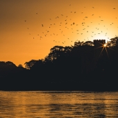 Embracing the Dawn: 5 Reasons Why Sunrise Photography Outshines Sunset Photography Embracing the Dawn: 5 Reasons Why Sunrise Photography Outshines Sunset Photography