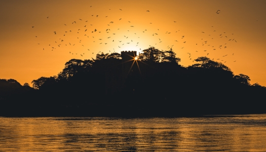 Embracing the Dawn: 5 Reasons Why Sunrise Photography Outshines Sunset Photography