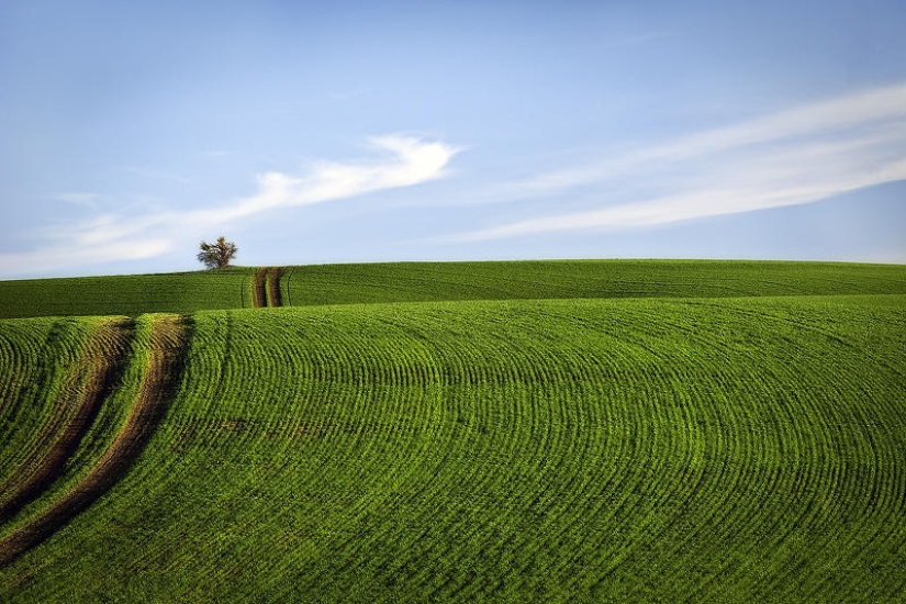 Emerald Hills of Palouse