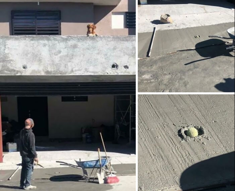 Employees Share Pics Of Workplace Disasters, Here Are The 10 Worst Ones Employees Share Pics Of Workplace Disasters, Here Are The 10 Worst Ones