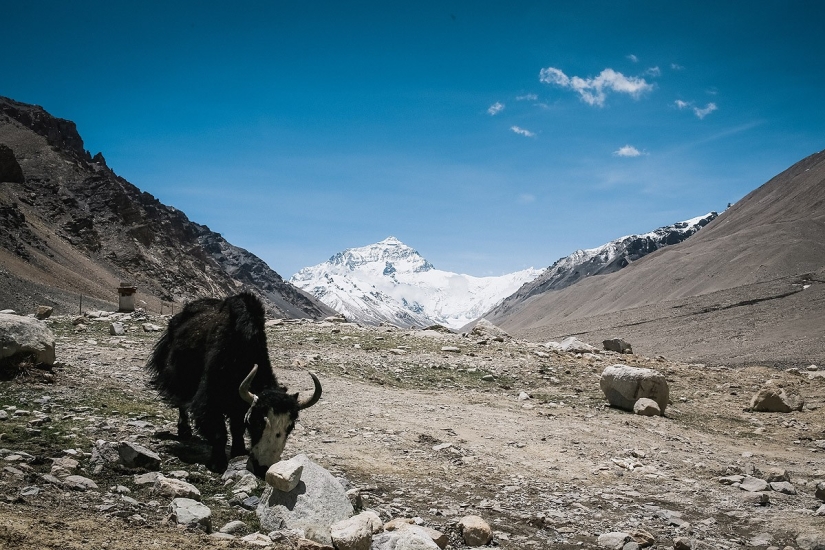 En busca de la magia: a los pies de la Gran Diosa