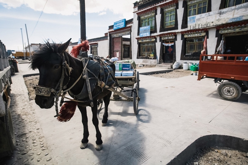En busca de la magia: a los pies de la Gran Diosa