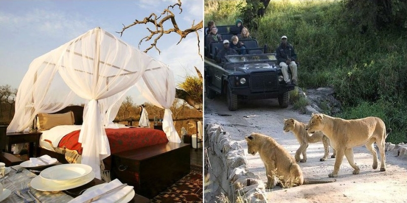 En el seno de la naturaleza virgen: 5 hoteles ubicados en los rincones más inaccesibles del planeta En el seno de la naturaleza virgen: 5 hoteles ubicados en los rincones más inaccesibles del planeta