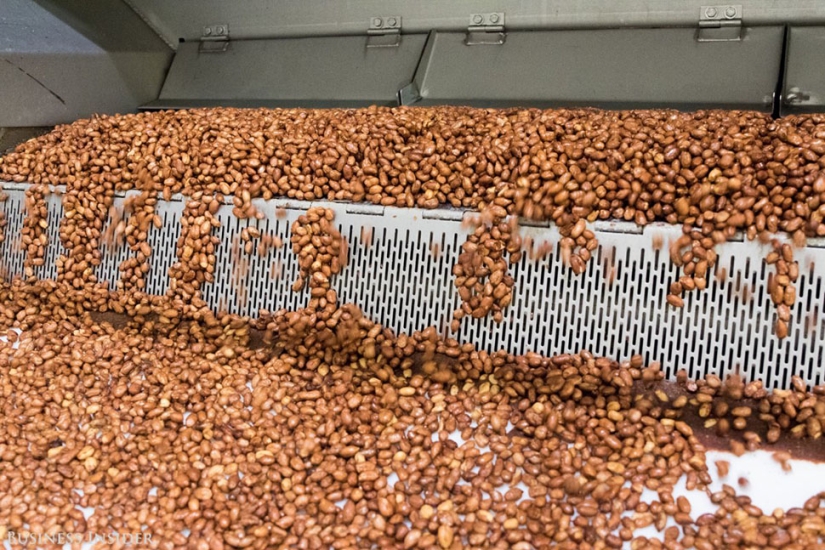 En la fábrica de M&M: cómo producir dulces que se derriten en la boca, no en las manos