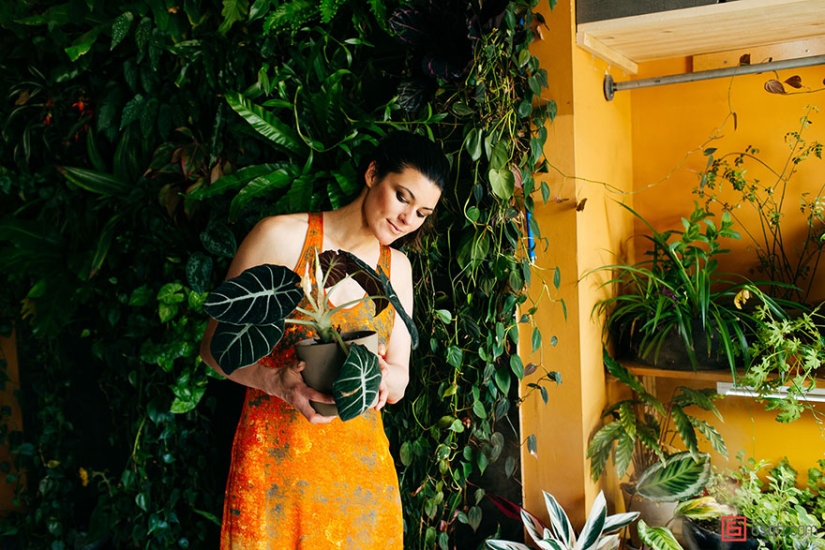 En la jungla urbana: una modelo de Nueva York cultiva más de 500 plantas en un apartamento