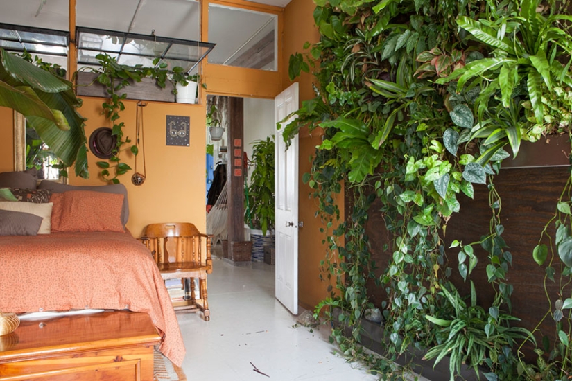 En la jungla urbana: una modelo de Nueva York cultiva más de 500 plantas en un apartamento