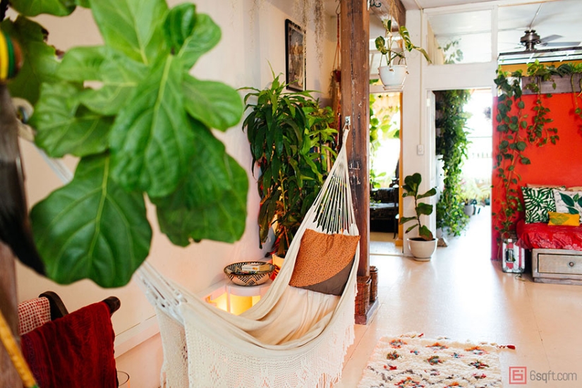 En la jungla urbana: una modelo de Nueva York cultiva más de 500 plantas en un apartamento