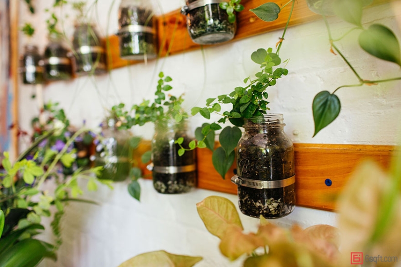 En la jungla urbana: una modelo de Nueva York cultiva más de 500 plantas en un apartamento