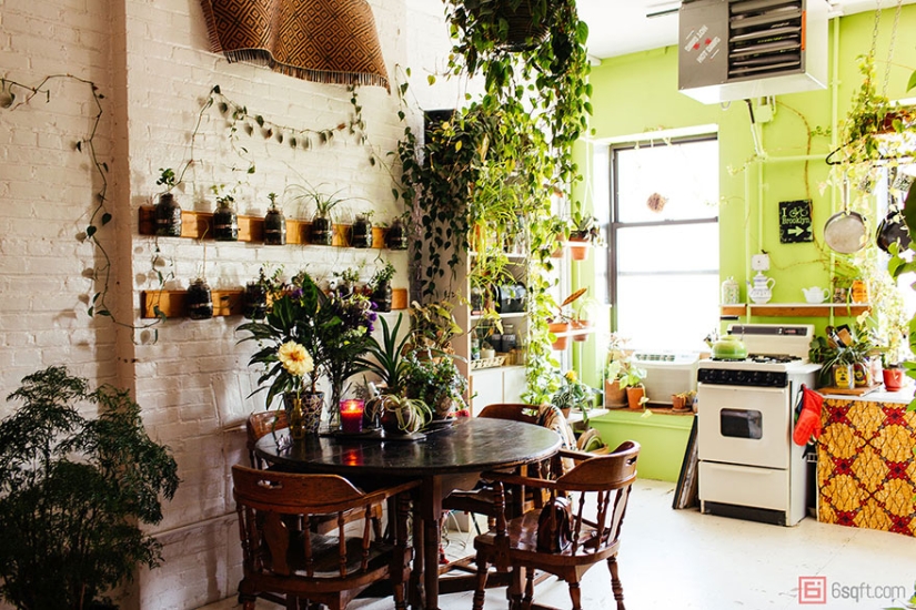 En la jungla urbana: una modelo de Nueva York cultiva más de 500 plantas en un apartamento