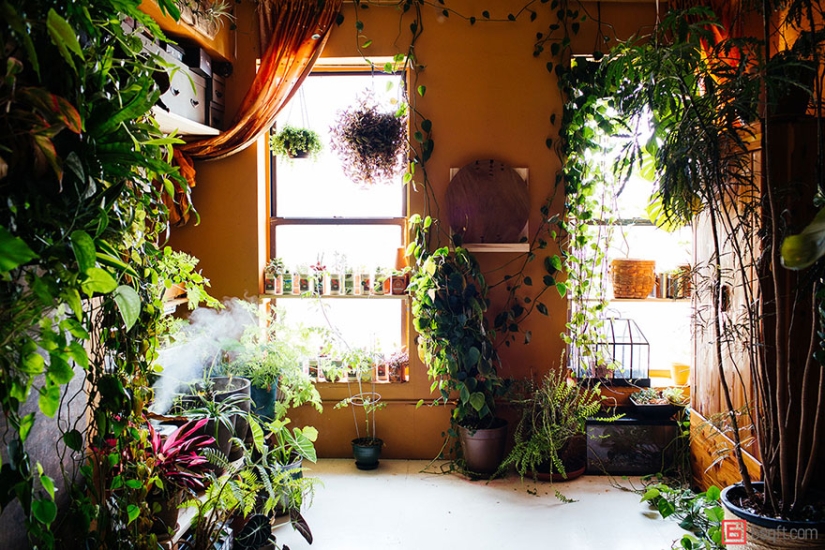 En la jungla urbana: una modelo de Nueva York cultiva más de 500 plantas en un apartamento