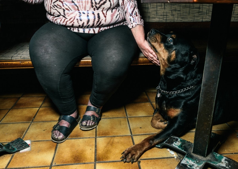 En la parte inferior: Restaurantes vieneses que desaparecen para los pobres urbanos