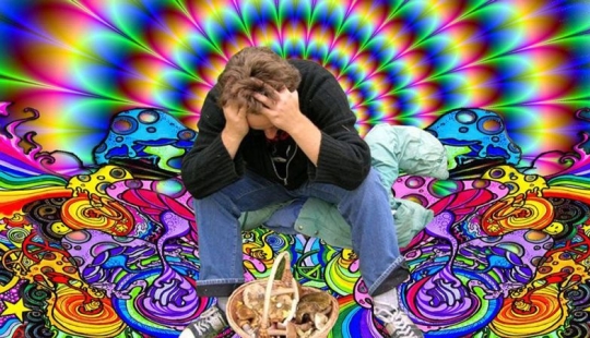 En los Estados Unidos, se les ocurrió la idea de tratar el alcoholismo con hongos alucinógenos