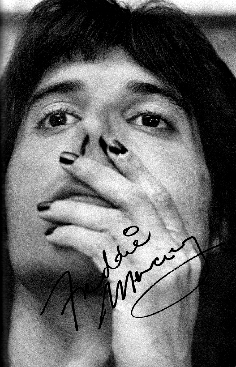 En memoria de Freddie Mercury