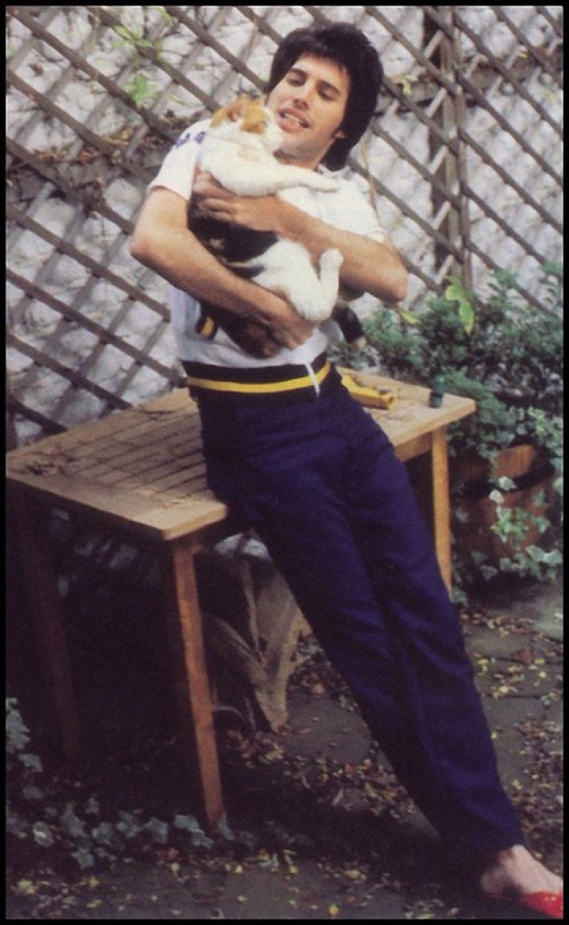 En memoria de Freddie Mercury