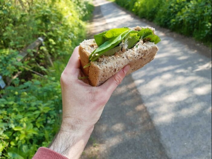 “En realidad no sabemos qué son los sándwiches”: 15 fotografías del grupo dedicado a los sándwiches “En realidad no sabemos qué son los sándwiches”: 15 fotografías del grupo dedicado a los sándwiches