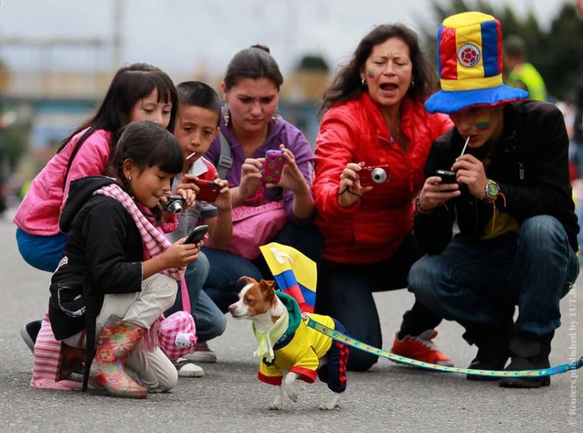 En todo el mundo: cómo se celebra el Día de la Independencia en diferentes países En todo el mundo: cómo se celebra el Día de la Independencia en diferentes países