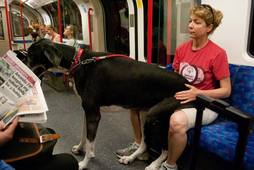 en transporte publico