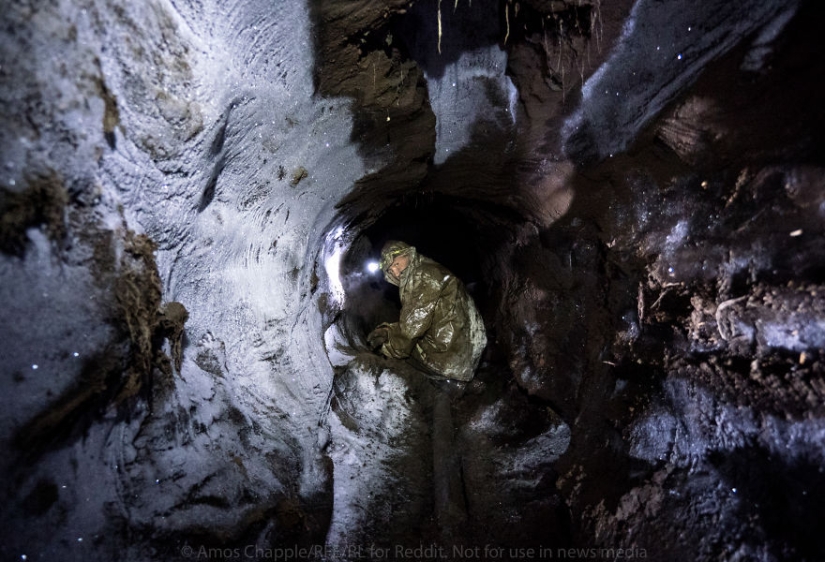 En Yakutia, una nueva " fiebre del oro—: caza de colmillos de mamut
