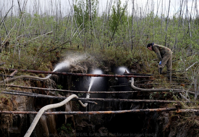 En Yakutia, una nueva " fiebre del oro—: caza de colmillos de mamut