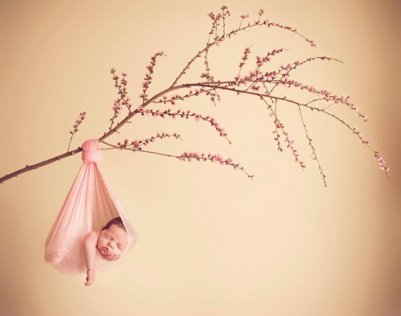 Encantadoras fotos de bebés por Carrie Sandoval Encantadoras fotos de bebés por Carrie Sandoval