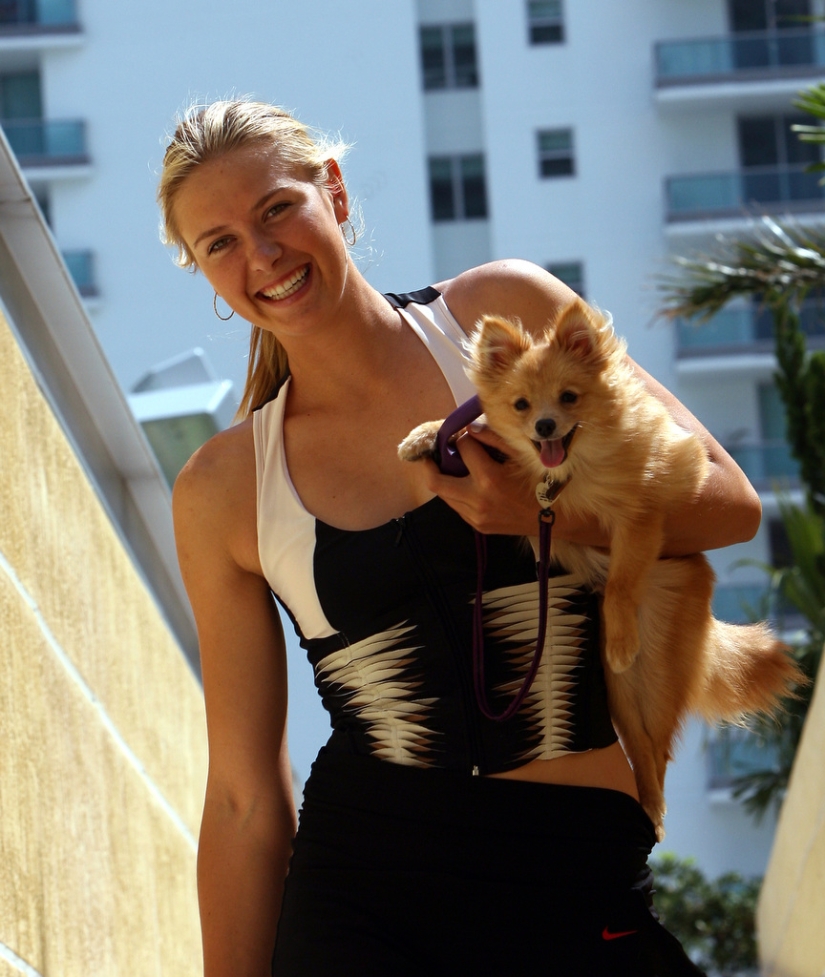 End of career: Maria Sharapova found doping