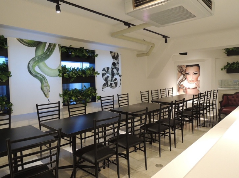 ¿Es el café serpiente en Japón un horror? ¡Incluso algunos!