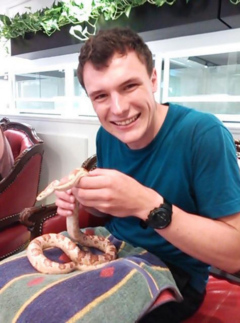 ¿Es el café serpiente en Japón un horror? ¡Incluso algunos!