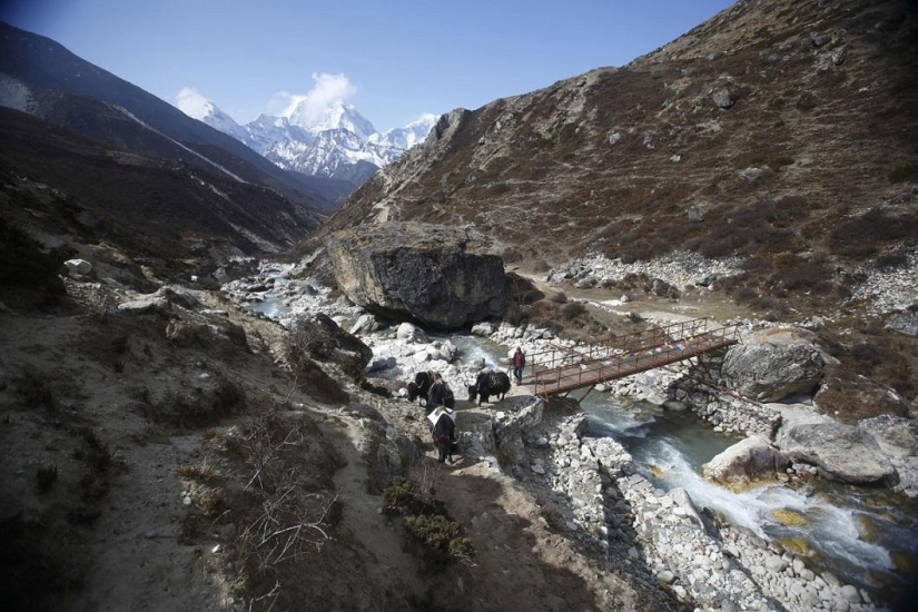 Escalando el Everest