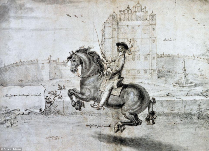 escuela de ballet para caballos