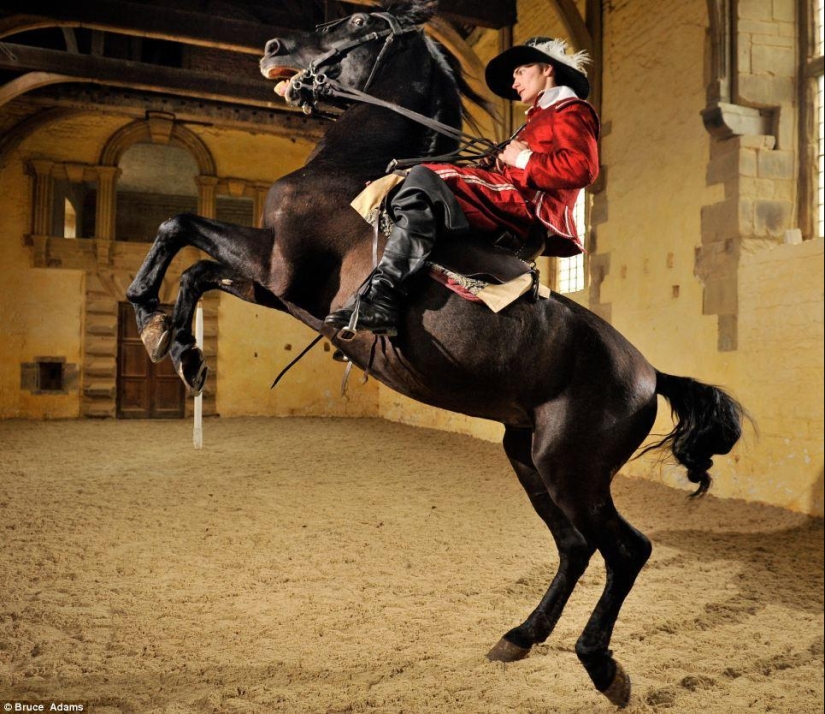 escuela de ballet para caballos