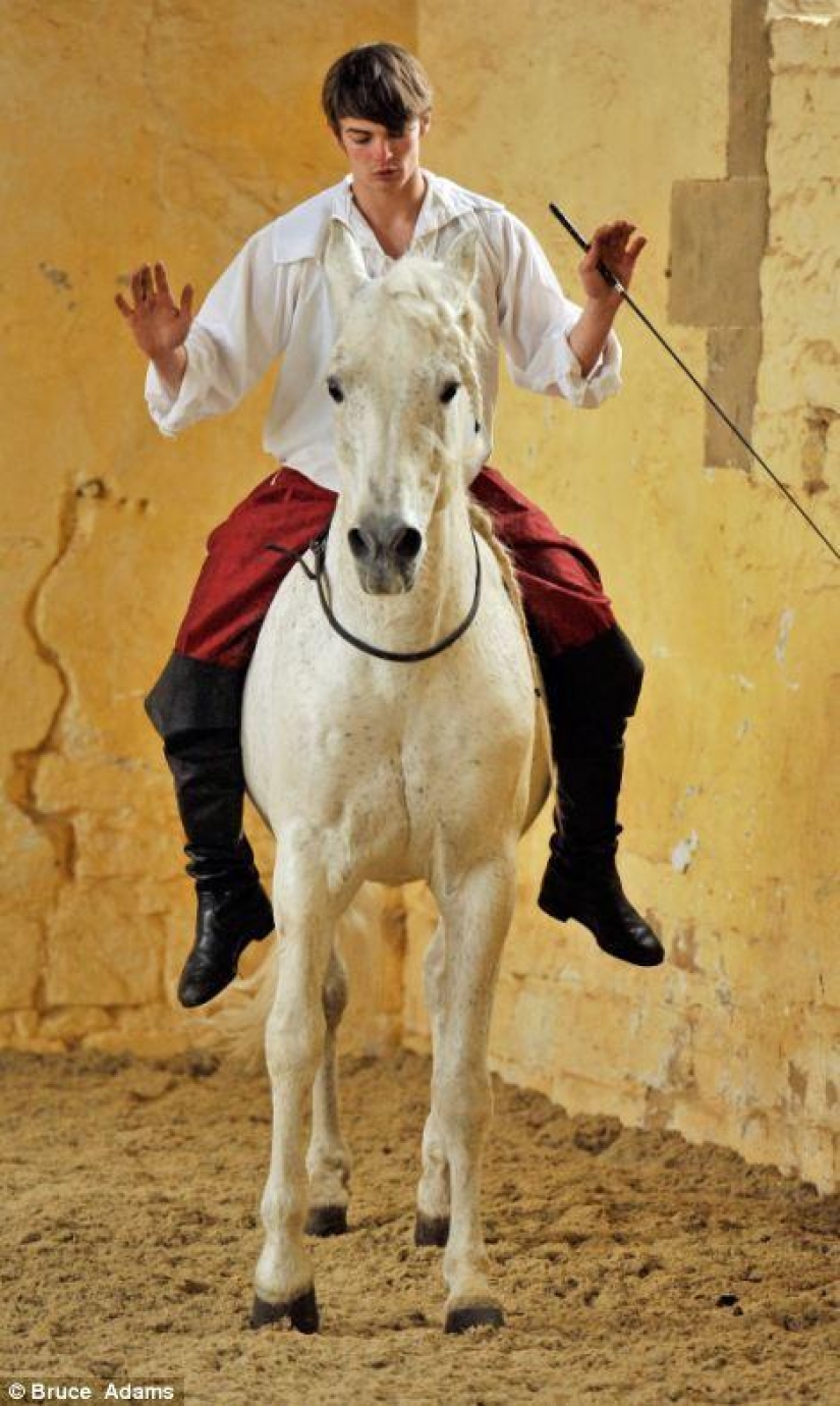 escuela de ballet para caballos