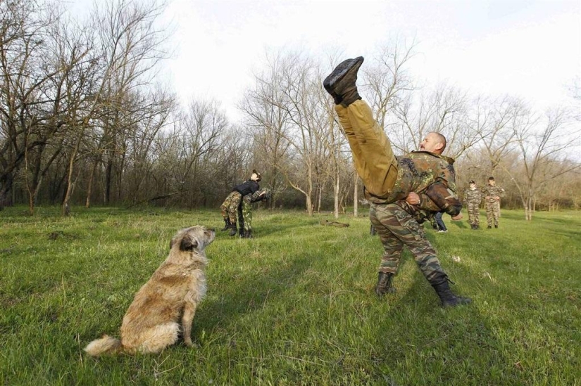 Escuela de Cadetes que lleva el nombre del General A.P. Yermólova Escuela de Cadetes que lleva el nombre del General A.P. Yermólova