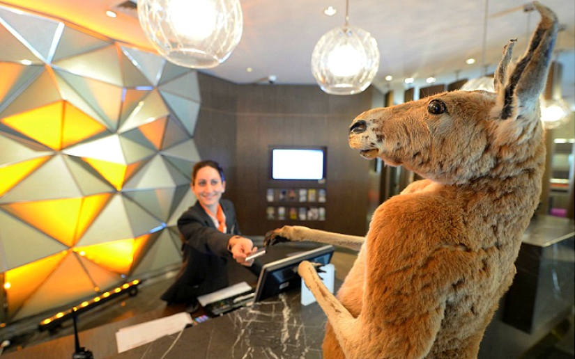 Espeluznante: hotel espantapájaros en Sydney